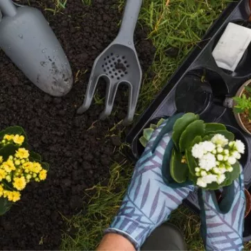 three_tips_to_gardening.jpg